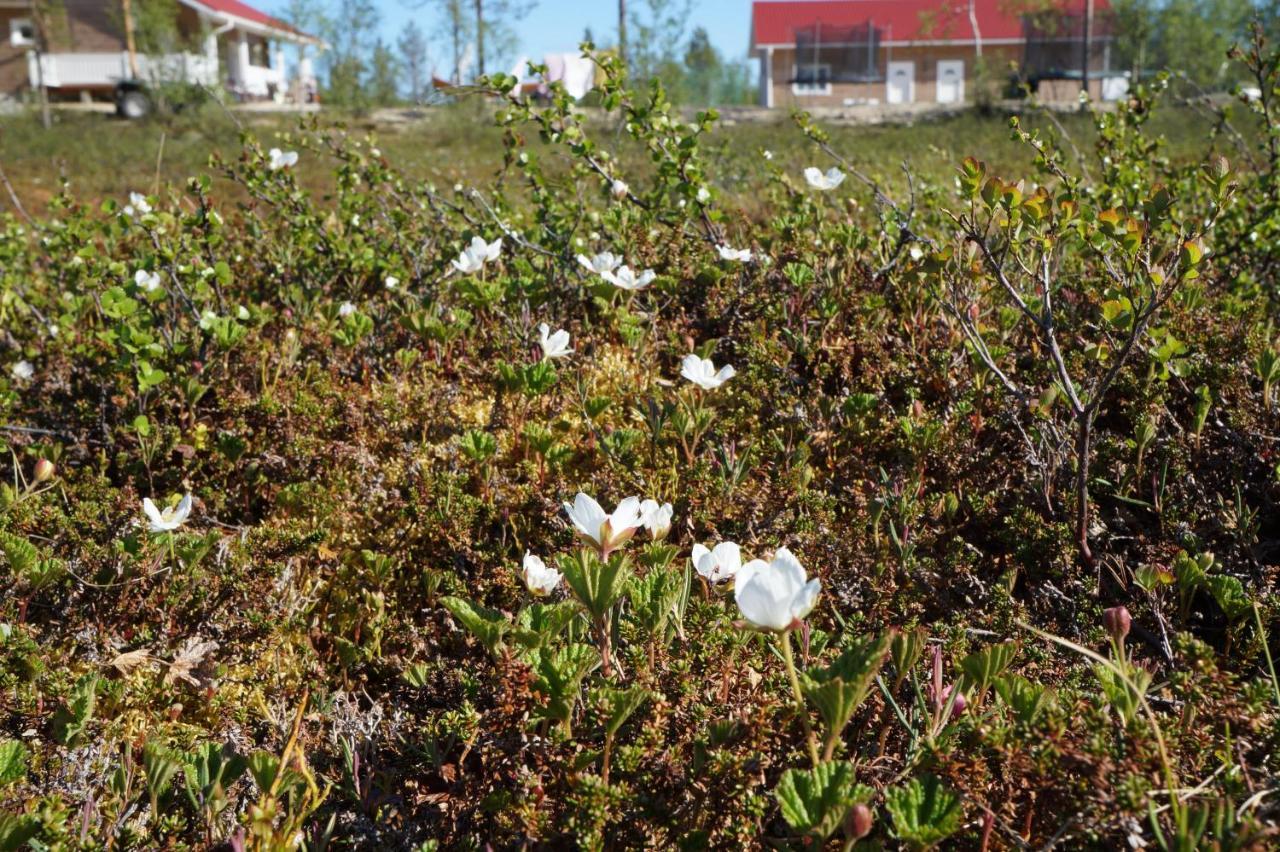 Majoitus Valkea Apartment Nunnanen Bagian luar foto